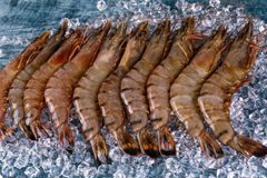 Premium Frozen Black Tiger Shrimp, Giant Freshwater Prawn & Seafood – HACCP, GMP, ISO Certified - Image 5
